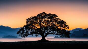 Majestic Oak Tree Silhouette at Sunrise Over Misty Mountains a Serene Landscape Photograph photo