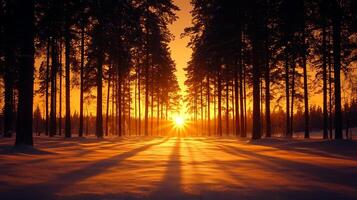 Majestic winter sunset illuminating a snowy pine forest path creating long shadows photo