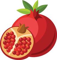 Pomegranate with a Cut Section vector