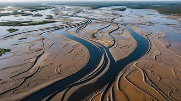 Aerial view of a river delta showcasing intricate channels and shifting patterns photo