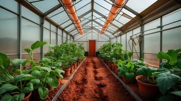 Martian greenhouse featuring red soil and various plants in a controlled setting photo