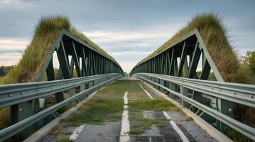 Wildlife bridge supporting biodiversity and ecosystem connectivity in urban areas photo