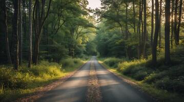 Bicycle path through a forest amid climate change challenges photo