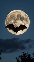 Bat soaring through the twilight sky with a full moon in the background photo