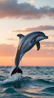Dolphin leaps from ocean waves against a colorful sunset backdrop at dusk photo