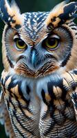 Detailed close up capture of owl feathers highlighting intricate patterns and colors photo