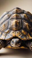 Highly detailed macro of a tortoise showcasing intricate shell patterns and textures photo