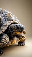 Close up of a detailed tortoise showcasing intricate shell patterns and textures photo