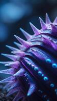 Detailed view of a spiny sea creature resting on the ocean floor in twilight photo