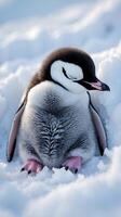 Baby penguin peacefully resting in soft snow during winter season photo