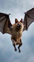Bat soaring through the sky with outstretched wings against a cloudy backdrop photo