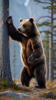 Bear swiping at tree in forest during daylight hours photo