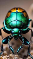Closeup view of a metallic green beetle showcasing unique features and colors photo