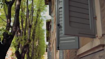A Serene Window View Featuring Lush Green Trees Set Against a Calm and Inviting Atmosphere video