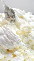 close-up of a woman mixing dough with a fork for cottage cheese pancakes in a white bowl, concept of preparing dough with curd and flour for homemade pancakes. video