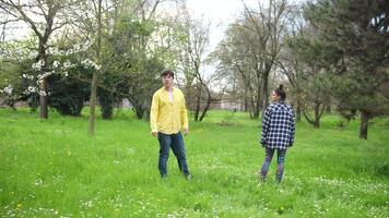 Engaging in Playful Interaction Within a Lush, Vibrant Green Field Under Daylight Conditions video