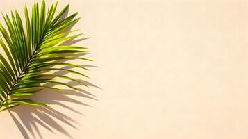 Serene Palm Frond on Soft Beige Background photo