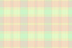 Pastel plaid pattern. Soft, springlike colors create a gentle, calming aesthetic. Perfect for textile design, websites, packaging, or crafting projects. Evokes feelings of tranquility and freshness. vector