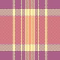 A plaid fabric with a checkered pattern vector