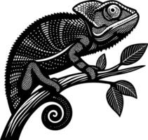 Intricate Black and White Chameleon Climbing Branch with Leaves for Unique Designs and Artworks vector