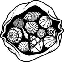 Intricate Shell Collection Featuring Various Sea Shells for Tattoo Art and Coloring Books vector
