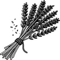 Hand-drawn Wheat Bundle with Grains Rustic Farm Fresh Illustrative Design for Crafts vector