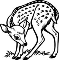 Elegant Fawn Design for Coloring Books and Nature Themed Art Projects vector