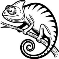 Charming Chameleon Illustration on a Branch Perfect for Coloring Books and Design Projects vector