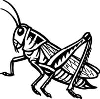 Detailed Black and White Illustration of a Grasshopper for Nature Themes and Design Projects vector