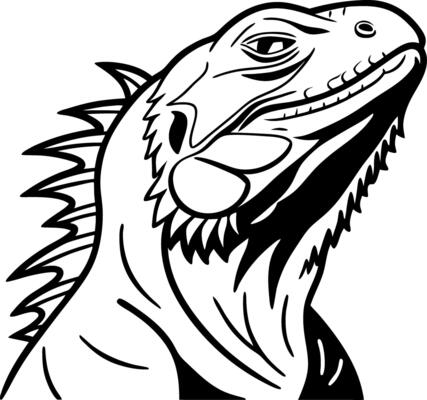 Detailed Iridescent Iguana Head Illustration for Tattoo Design and Coloring Books