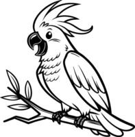 Bold Cartoon Cockatoo perched on Branch Suitable for Coloring Books and Illustrations vector