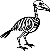 Detailed Bird Skeleton Illustration for Educational Use and Creative Projects vector