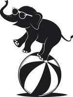 Playful Elephant Balancing on Beach Ball with Sunglasses for Fun Designs vector