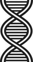 Stylized DNA Double Helix Design for Science Education and Medical Illustrations vector