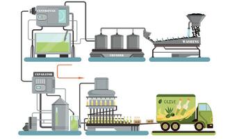 Olive Oil Production Process, Automated Line of Washing, Crushing, Separating, Bottling, Transporting Illustration vector