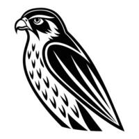 Clean Falcon Silhouette Stylish Avian Design vector