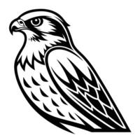 Soaring Falcon Design Minimalist Animal Emblem vector