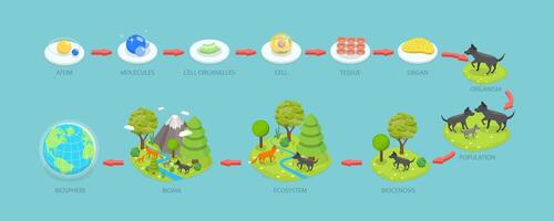 3D Isometric Flat Conceptual Illustration of Living World Biosphere, Labeled Ecosystem Explanation Scheme Outline vector