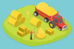 3D Isometric Flat Set of Haystacks and Straw, Farming and Agriculture vector