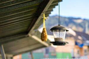 View of a hanging bird feeder. Feeding area for wild birds and animals in winter photo