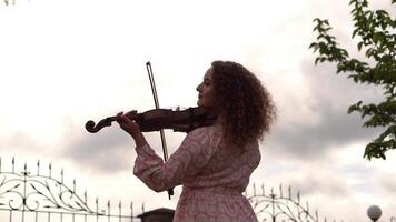A curly-haired violinist performs under a moody sky, her silhouette standing out against the clouds. She wears a vintage dress, adding an artistic and emotional depth to the scene. video