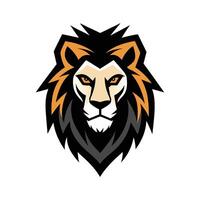 Symmetrical of a lion head with white background vector
