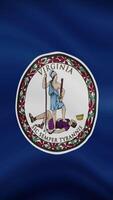Virginia State Waving Flag in Vertical Orientation. Realistic Flag Animation. Seamless Loop Background. video