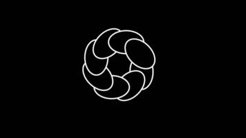 Looping animation of petal-like shapes rotating in a soft flower-like design with calming symmetry video