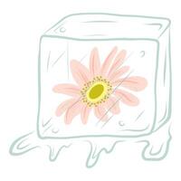 Ice cube with a flower inside illustration, Hand drawn ice cube vector