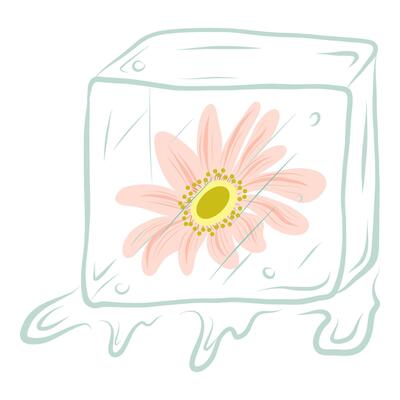 Ice cube with a flower inside illustration, Hand drawn ice cube