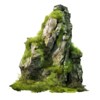 A rock with moss on it in the middle of the forest png