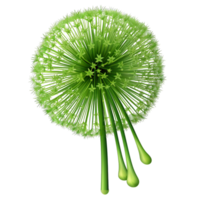 A green dandelion with many seeds on it png