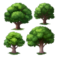 Four different types of trees, one of which is green png