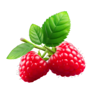 Two raspberries are on a black background png